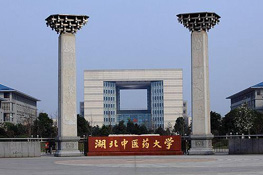 湖北中医药大学